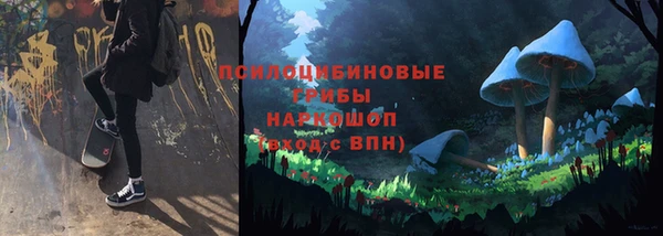 стафф Алексин