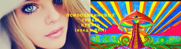 PSILOCYBIN Абдулино