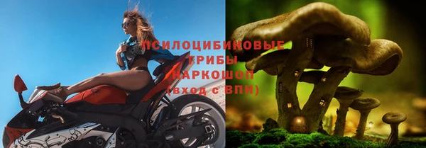a pvp Абинск
