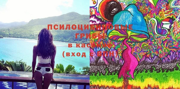 PSILOCYBIN Абдулино